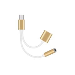 TP-510 Type-C  Adaptör Ses Kablosu