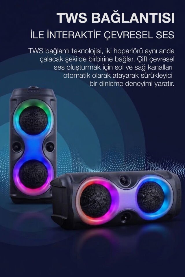 20W Taşınabilir Hoparlör
