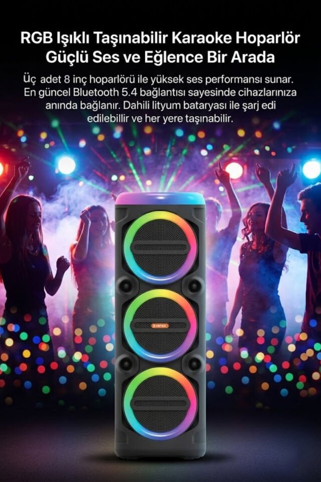 90W Taşınabilir Hoparlör