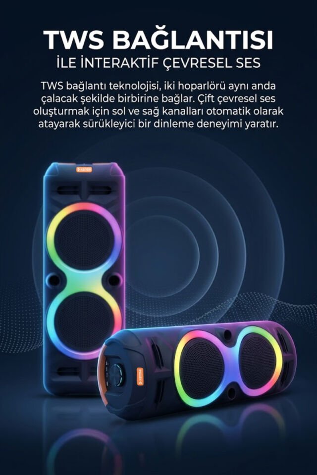 60W Taşınabilir Hoparlör